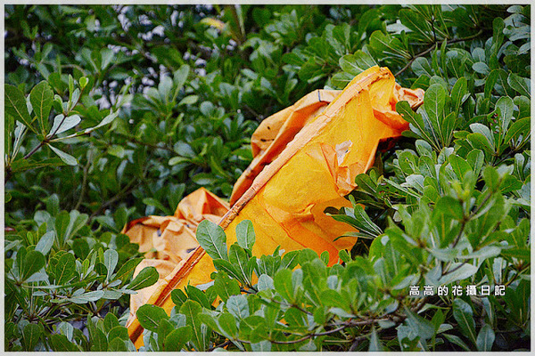 十分車站:【新北】平溪區。十分車站 十分老街