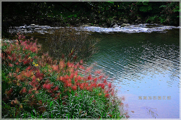 十分風景區:【新北】平溪區。十分風景區