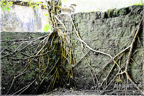 石底大斜坑:【新北】平溪區。菁桐煤礦紀念公園 石底大斜坑