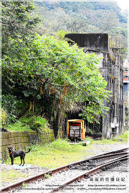 菁桐老街:【新北】平溪區。菁桐老街 溫泉商店 日式宿舍群 太子賓館 白石社區