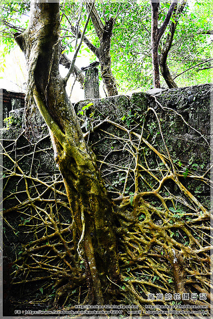 石底大斜坑:【新北】平溪區。菁桐煤礦紀念公園 石底大斜坑