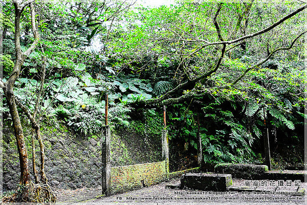 石底大斜坑:【新北】平溪區。菁桐煤礦紀念公園 石底大斜坑