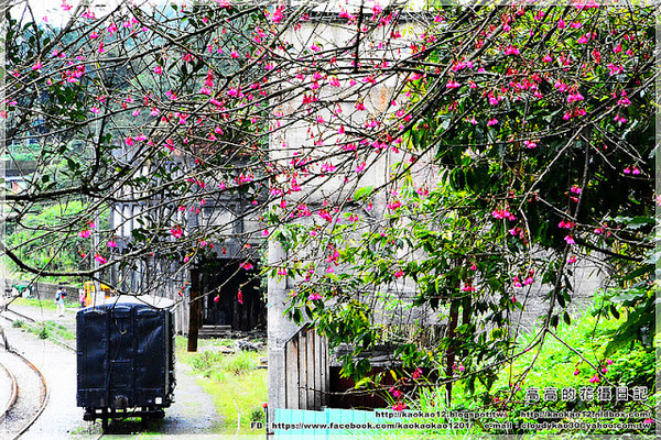 石底大斜坑:【新北】平溪區。菁桐煤礦紀念公園 石底大斜坑