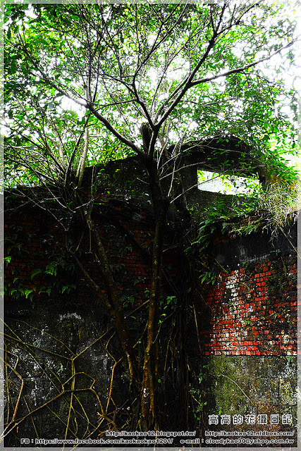 石底大斜坑:【新北】平溪區。菁桐煤礦紀念公園 石底大斜坑