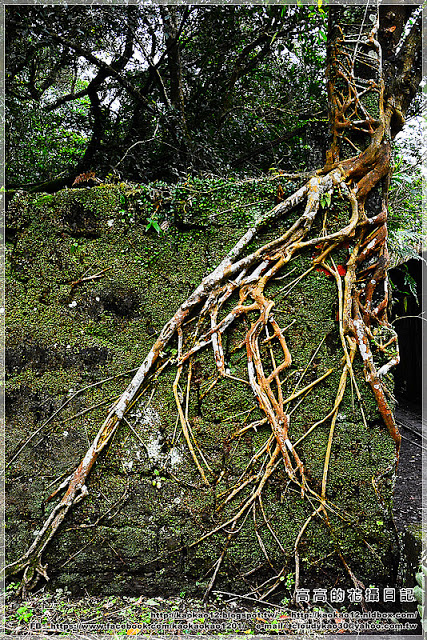 石底大斜坑:【新北】平溪區。菁桐煤礦紀念公園 石底大斜坑