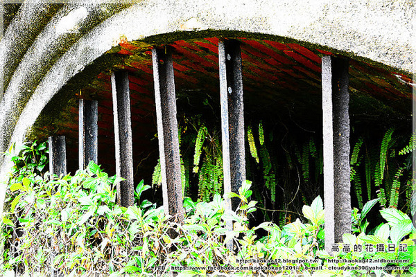 石底大斜坑:【新北】平溪區。菁桐煤礦紀念公園 石底大斜坑