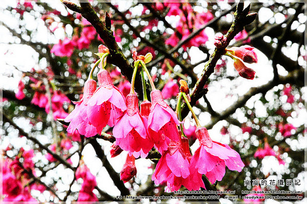 石底大斜坑:【新北】平溪區。菁桐煤礦紀念公園 石底大斜坑