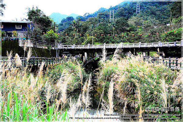 菁桐老街:【新北】平溪區。菁桐老街 溫泉商店 日式宿舍群 太子賓館 白石社區