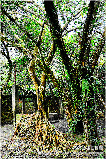 石底大斜坑:【新北】平溪區。菁桐煤礦紀念公園 石底大斜坑