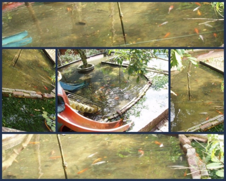 虎寮潭渡假休閒山莊(tiger):坪林【虎寮潭】探幽