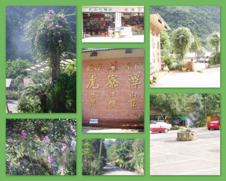 虎寮潭渡假休閒山莊(tiger):坪林【虎寮潭】探幽