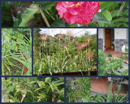 虎寮潭渡假休閒山莊(tiger):坪林【虎寮潭】探幽