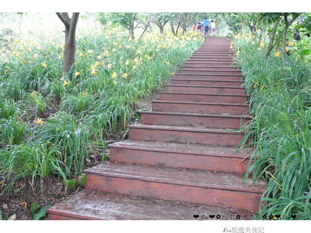 沐心泉休閒農場：【遊記】oO。o○。台中　新社　沐心泉休閒農場　愛情花　金針花　百子蓮　油桐花　螢火蟲　櫻花　一年四季都有不同的美景，來台中不可以錯過的好地方～　oO。o○。　