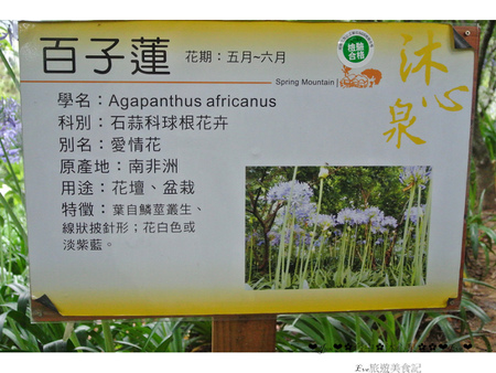 沐心泉休閒農場：【遊記】oO。o○。台中　新社　沐心泉休閒農場　愛情花　金針花　百子蓮　油桐花　螢火蟲　櫻花　一年四季都有不同的美景，來台中不可以錯過的好地方～　oO。o○。　