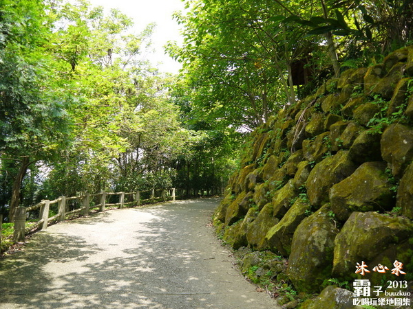 沐心泉休閒農場:倘佯在金色浪花中,沐心泉休閒農場˙金針花。