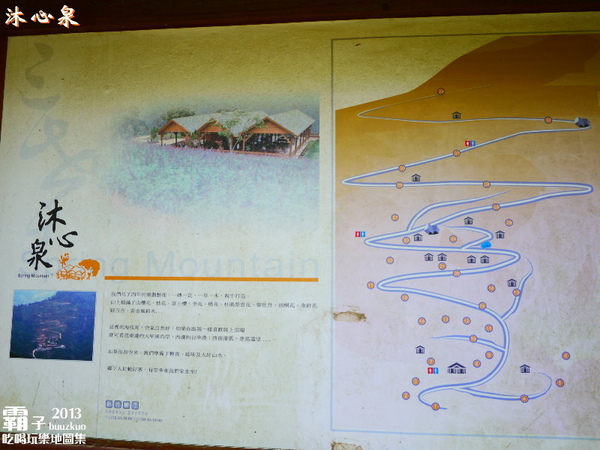 沐心泉休閒農場:倘佯在金色浪花中,沐心泉休閒農場˙金針花。
