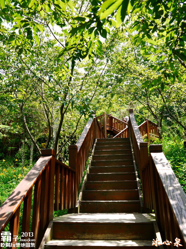 沐心泉休閒農場:倘佯在金色浪花中,沐心泉休閒農場˙金針花。