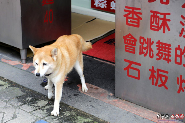 烏來老街：來去烏來住一晚 新北一日遊: 烏來老街 烏來溫泉 烏來吊橋 烏來瀑布 烏來纜車 台九線旅遊 檔車旅行