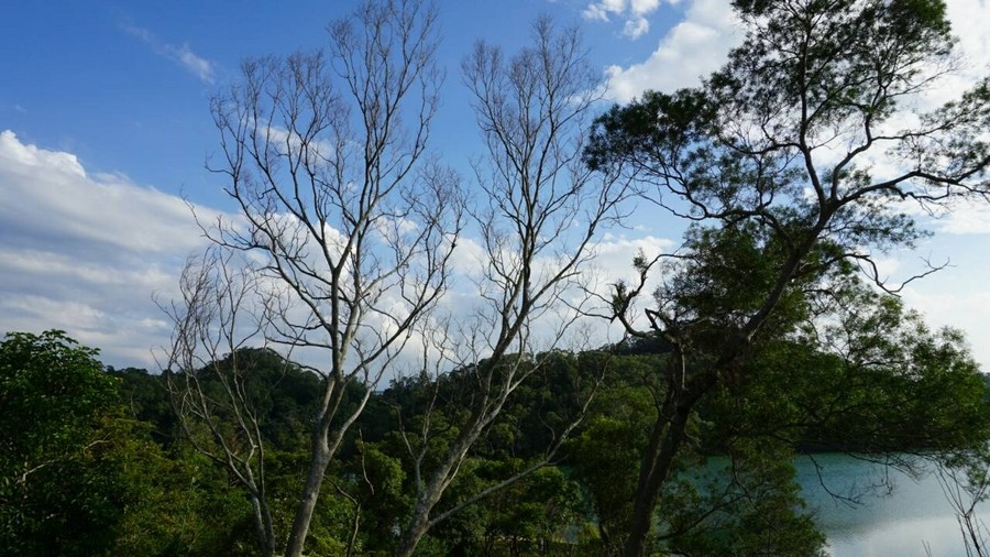 沙湖壢藝術村+Safulak Cafe沙湖壢咖啡館 (5).jpg
