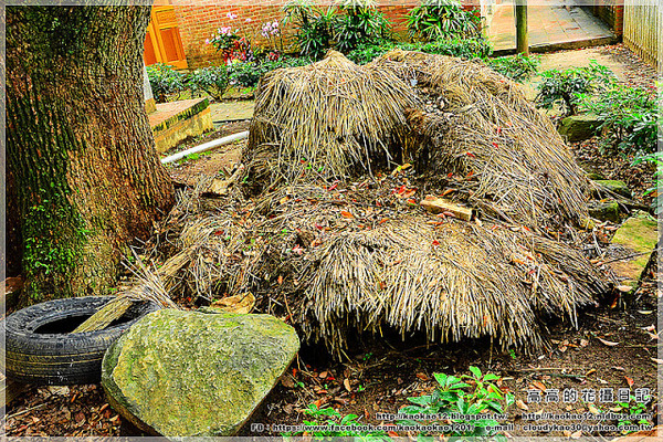 淡江中學:【新北】淡水區。私立淡江高级中學(校史館 馬偕博士墓園 外僑墓園…)