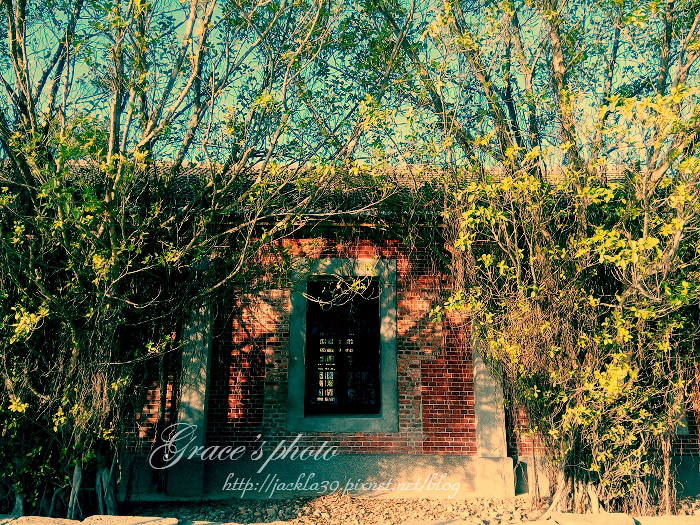 2014-11-01 15.57.06_nEO_IMG2.jpg