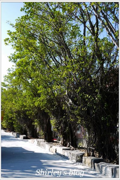 淡水海關碼頭：淡水海關碼頭文化教育園區