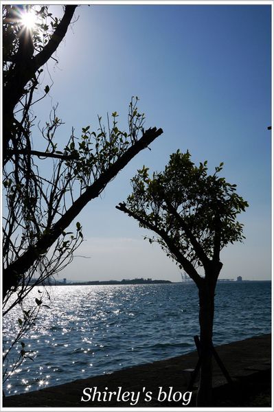 淡水海關碼頭：淡水海關碼頭文化教育園區