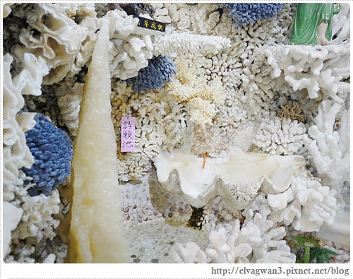 北海岸-三芝貝殼廟-富福頂山寺-十八羅漢洞-淡金公路-41-948-1