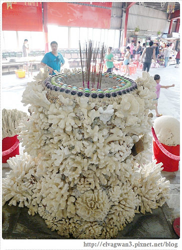 北海岸-三芝貝殼廟-富福頂山寺-十八羅漢洞-淡金公路-15-879-1