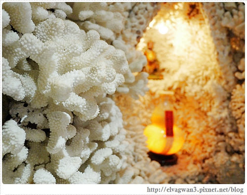 北海岸-三芝貝殼廟-富福頂山寺-十八羅漢洞-淡金公路-30-923-1