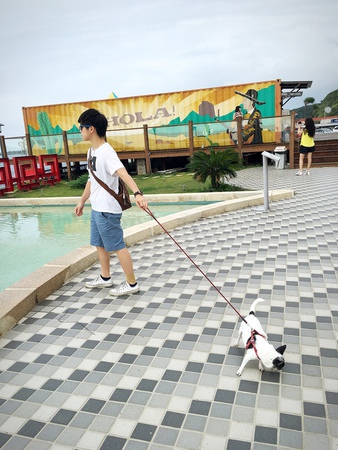 29647813015_82060b20c5_o 下午3.42.13.jpg