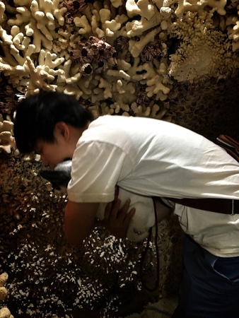 29021555364_1cae5ce487_o 下午3.42.13.jpg