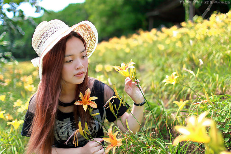 2015.05.16~新北三芝牧蜂農場金針花遊拍