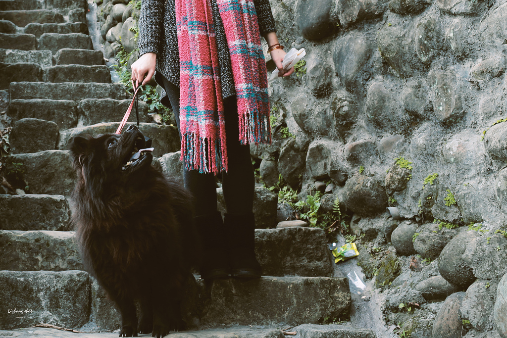 三峽老街的午後