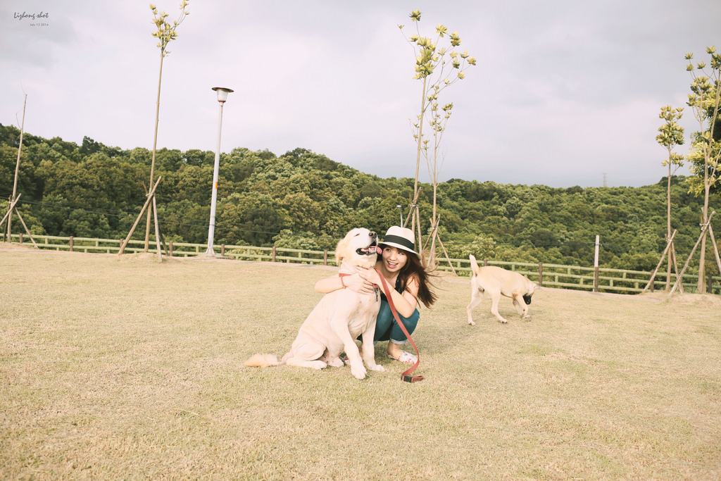桃園的虎頭山大草原野放小狗日記