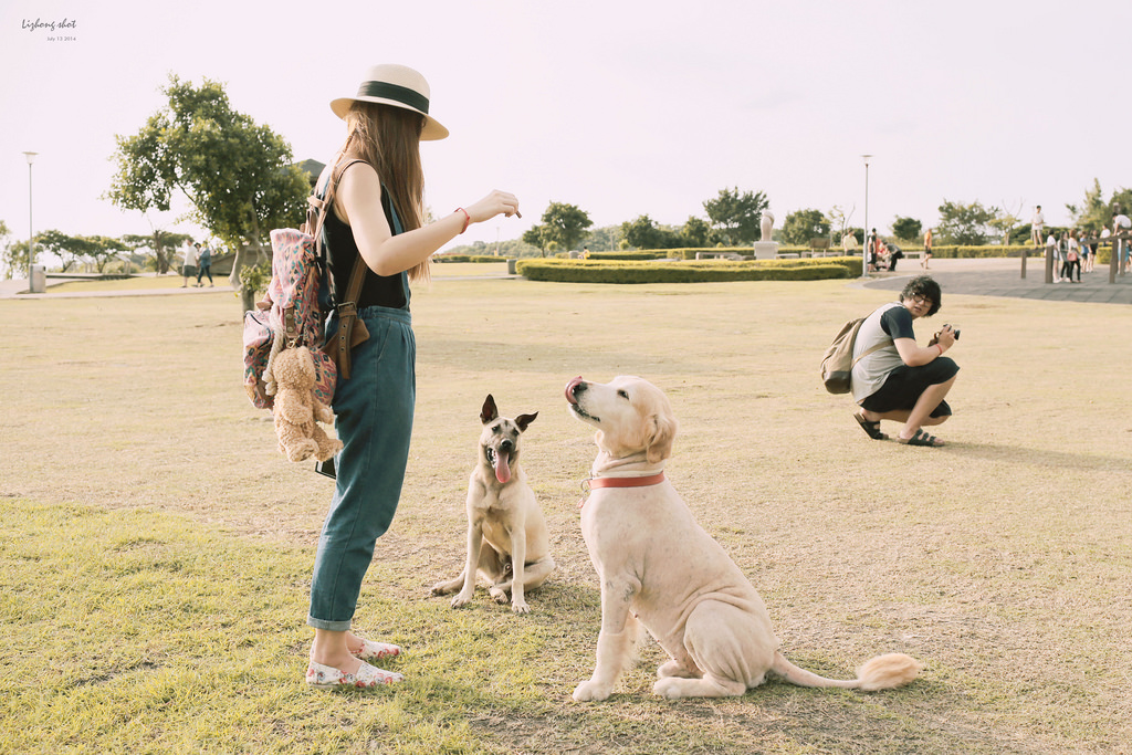 桃園的虎頭山大草原野放小狗日記