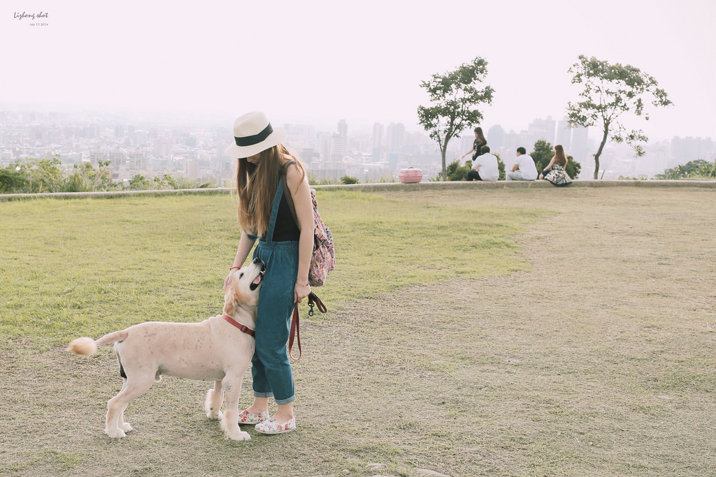 桃園的虎頭山大草原野放小狗日記