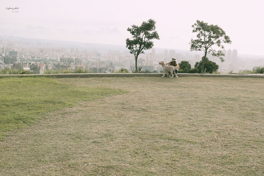 桃園的虎頭山大草原野放小狗日記
