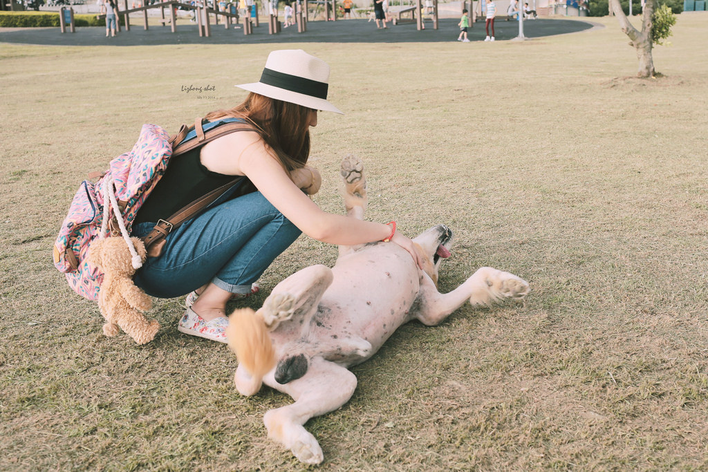 桃園的虎頭山大草原野放小狗日記