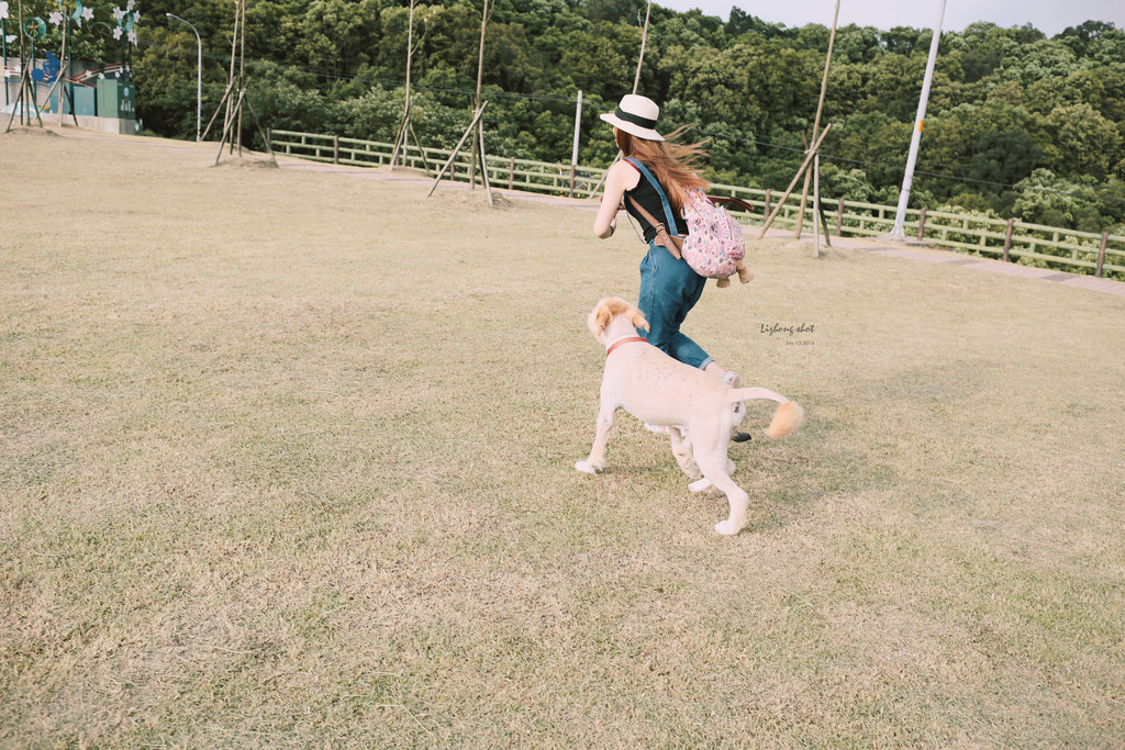 桃園的虎頭山大草原野放小狗日記