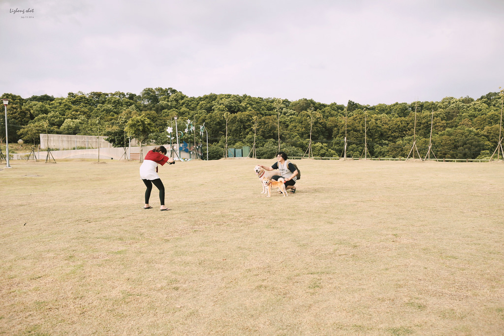 桃園的虎頭山大草原野放小狗日記