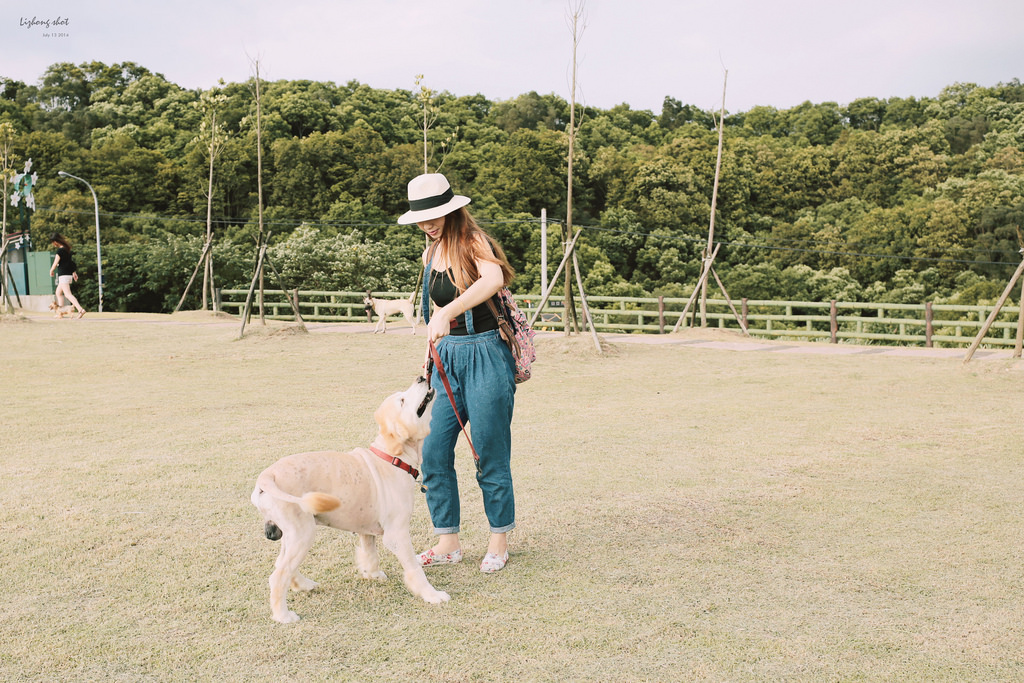 桃園的虎頭山大草原野放小狗日記