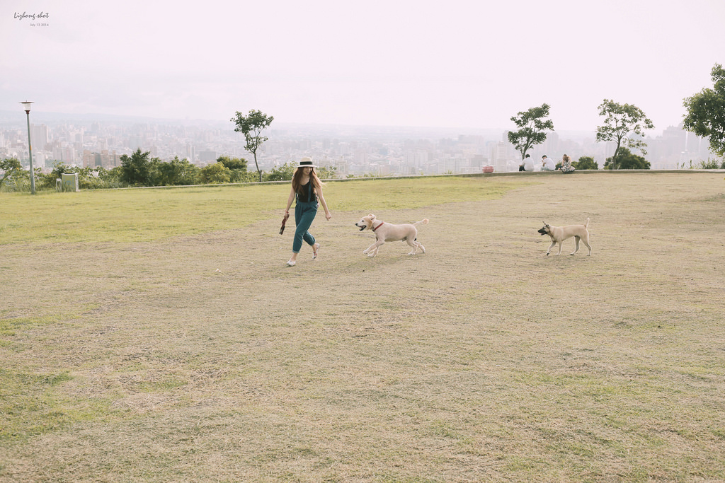 桃園的虎頭山大草原野放小狗日記