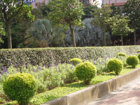 朝陽森林公園：抓住青春的尾巴～朝陽公園外拍