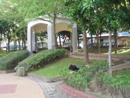 朝陽森林公園:朝陽森林公園~健身休憩的好去處