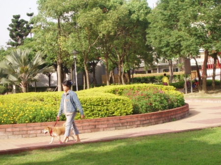 朝陽森林公園：抓住青春的尾巴～朝陽公園外拍