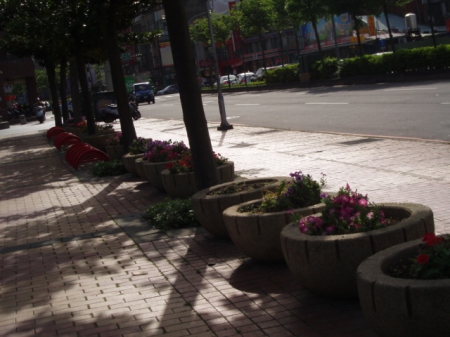 朝陽森林公園：抓住青春的尾巴～朝陽公園外拍