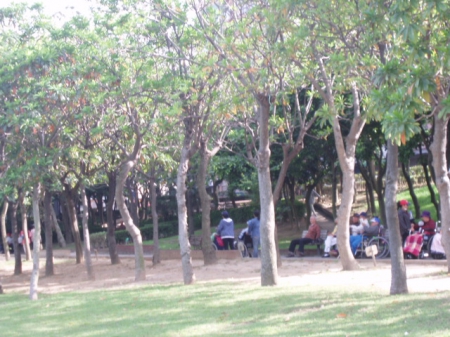 朝陽森林公園:朝陽森林公園~健身休憩的好去處