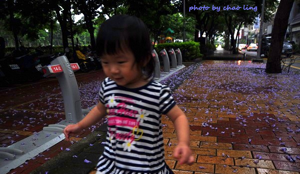 朝陽公園-10.JPG - 2016夏之豔陽