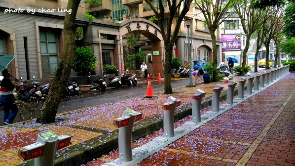 朝陽公園-8.jpg - 2016夏之豔陽